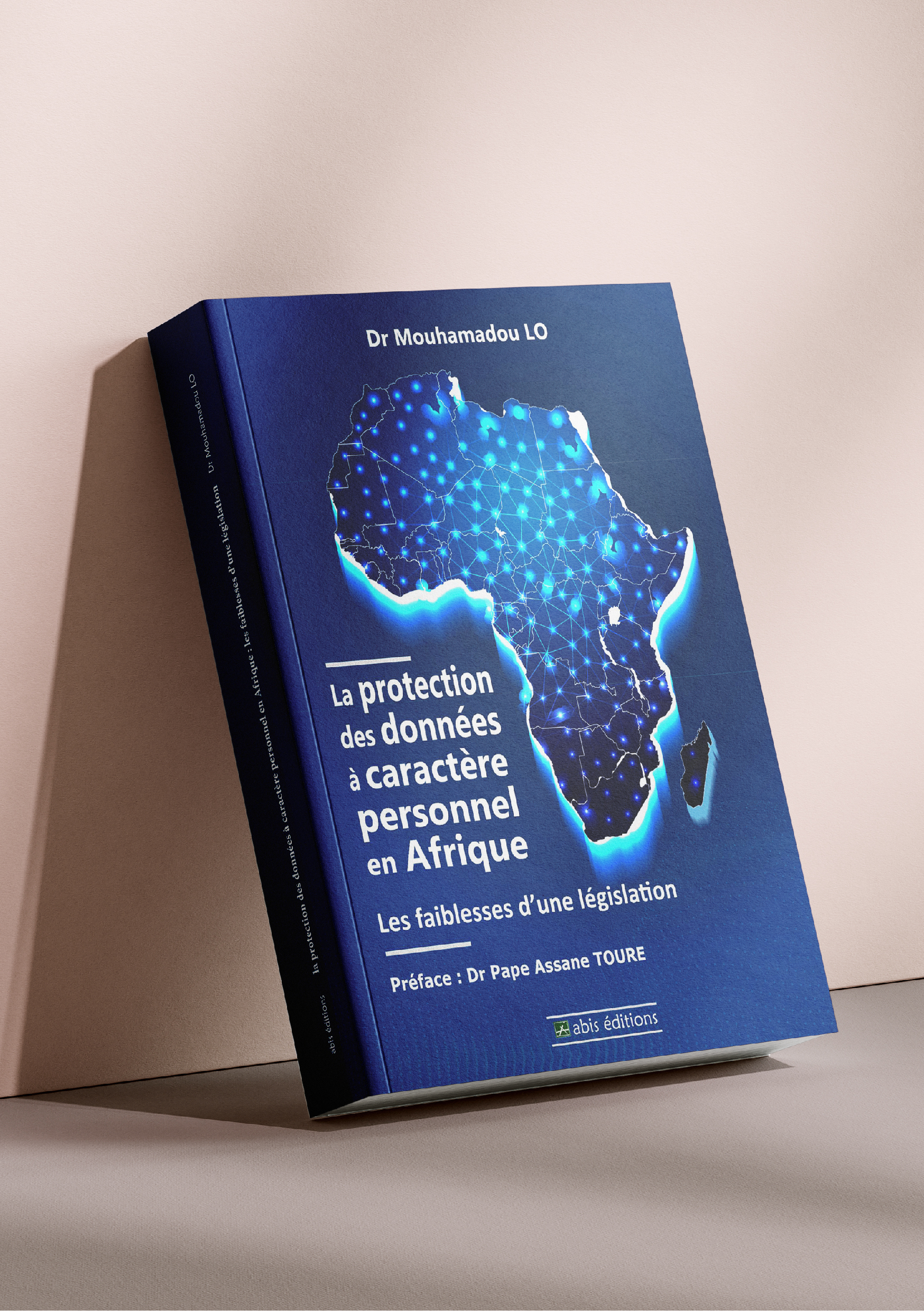 La protection des données à caractère personnel en Afrique